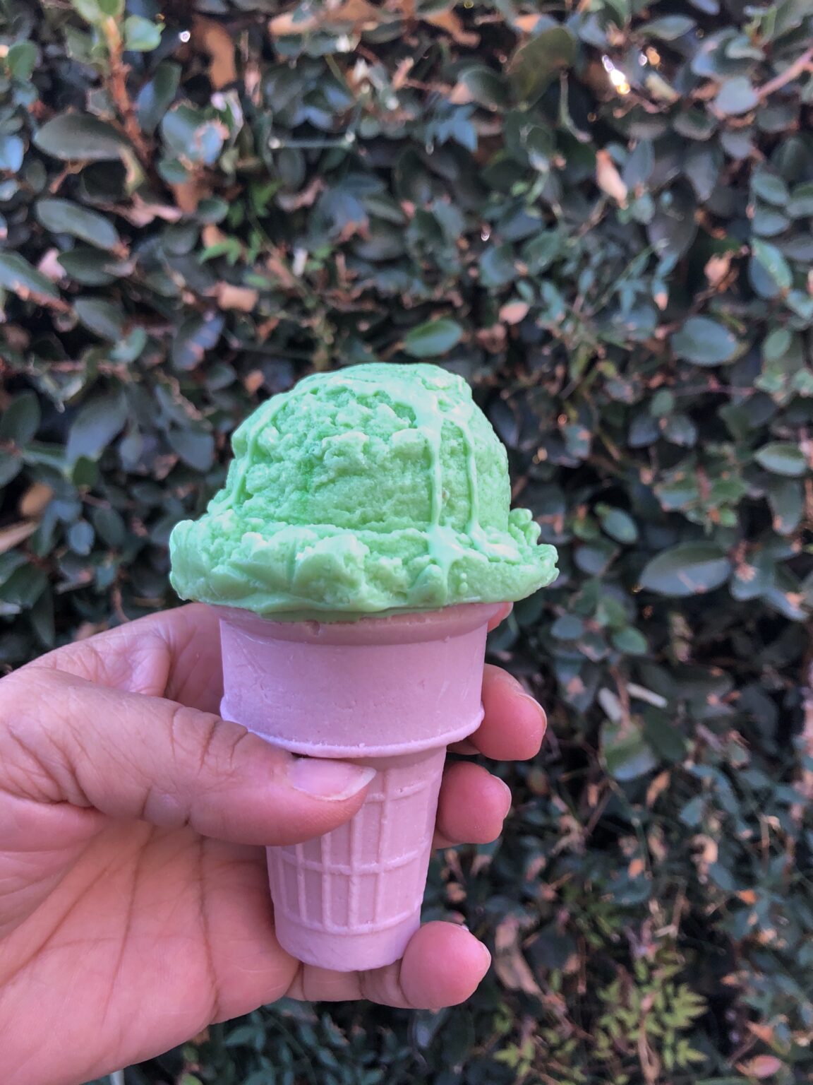 Ice Cream Cone Single Scoop