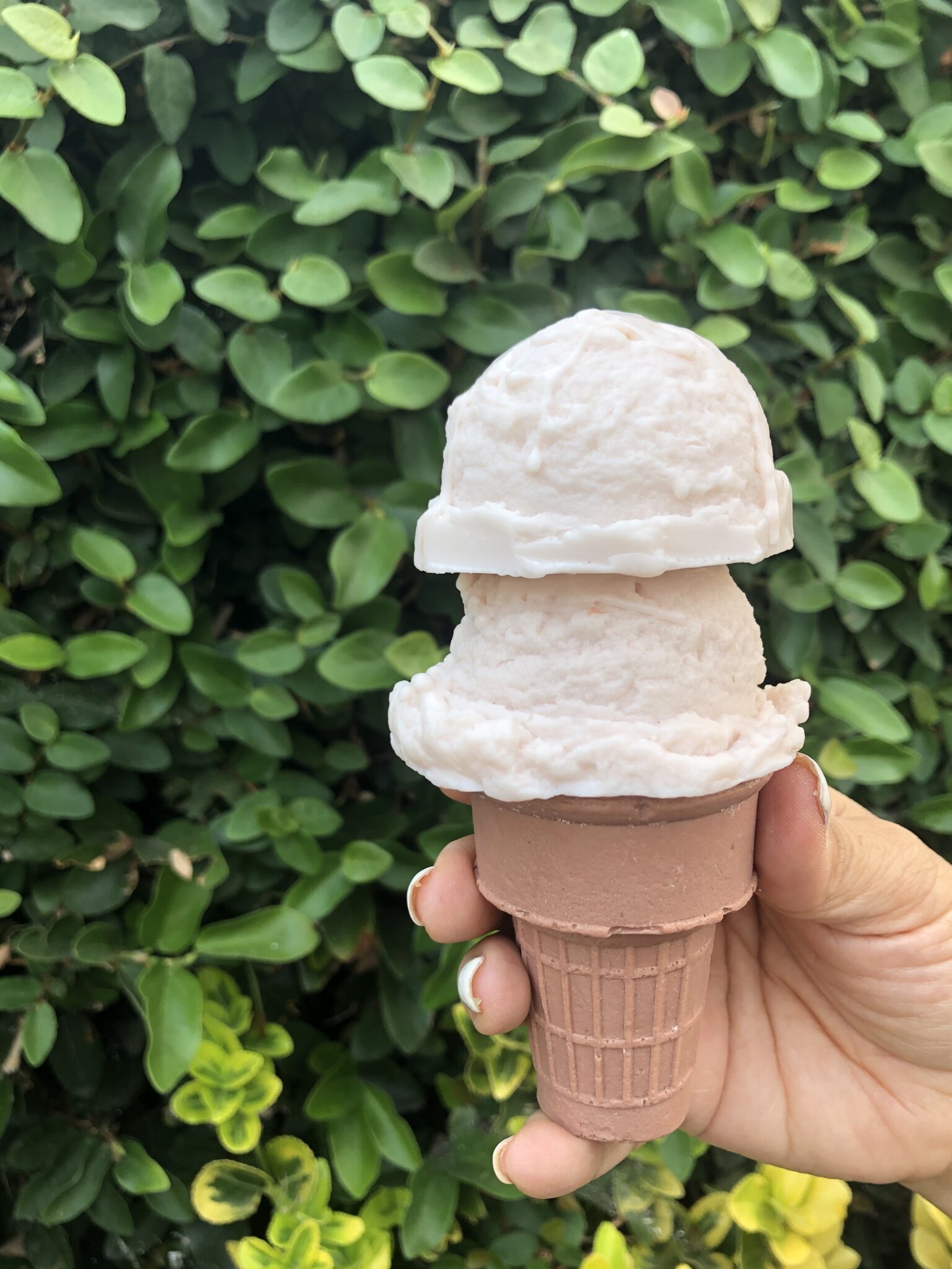 ice-cream-cone-double-scoop